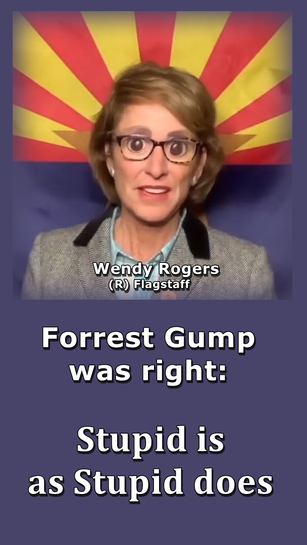 Wendy Rogers – Stupid is as Stupid Does