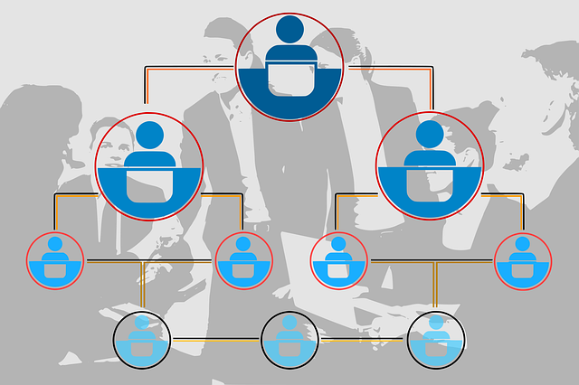 Democractic Organizations